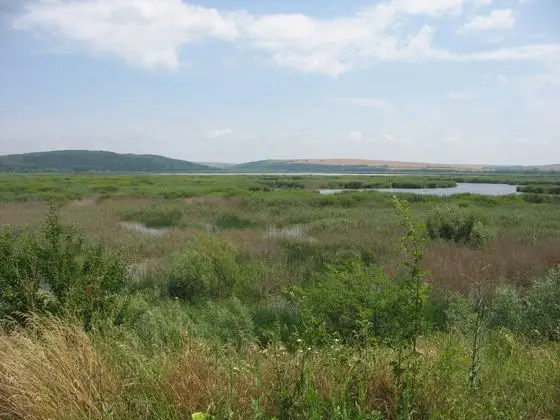 Natuurreservaat Srebarna (4759848566)