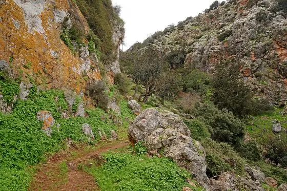Adonis-trail