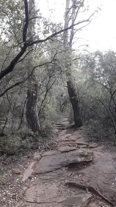 Camí de Can Serra de l'Arca pel GR2 - 20230319 100518