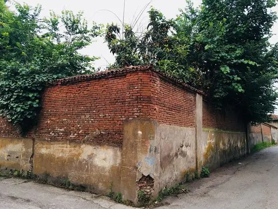 Nasri Alley ,Shohada St ,Roudsar ,Guilan