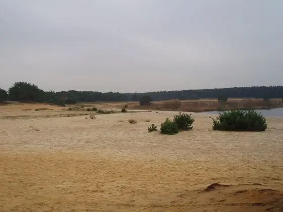 Sahara Lommel 2