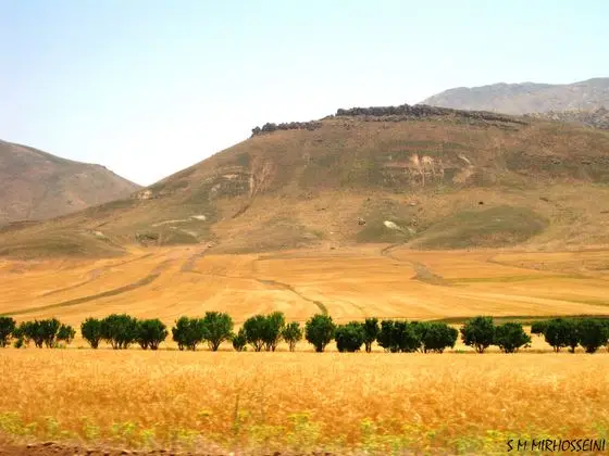 مزرعه - panoramio