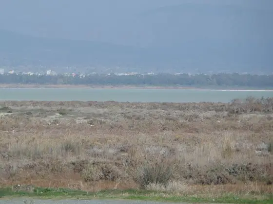 Limassol Salt Lake 2