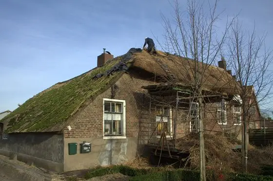 Hei-en Boeicop reparatie van een rietendak aldaar