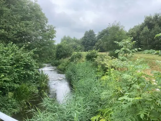 Gramsbergen Vechtpark Hardenberg Loozen Loozenlinie 04 34 41 198000