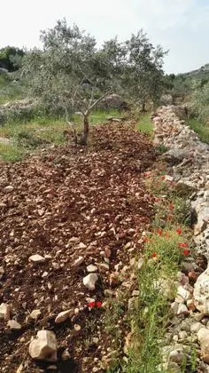 Qarawat-Bani-Hassan-Deir-ad-Derb-085859